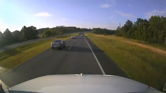 VIDEO: Driver stopping for turtle causes chain reaction crash in Florida (Walton County Sheriff's Office) 