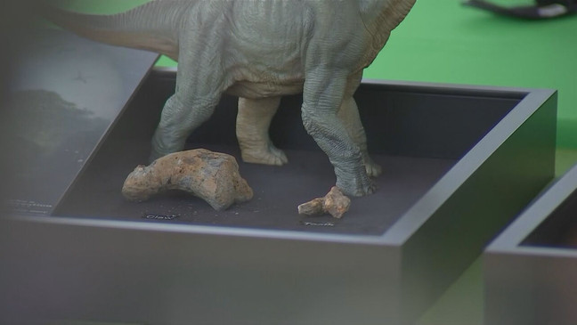 Officials host a Wednesday, July 12, 2023, press conference after a rare dinosaur bone bed was recently discovered at M-NCPPC Dinosaur Park in Laurel, Maryland. (7News)