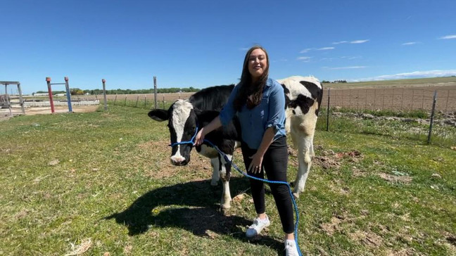 Bruce, the beloved cow, and his owner and social media influencer, Elias Herrera. (KBOI)