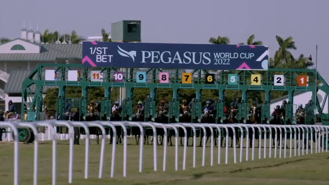A whopping $3 million is on the line in this weekend's Pegasus World Cup Invitational at Gulfstream Park in Hallandale, CBS12's Jim Grimes reports. (WPEC)