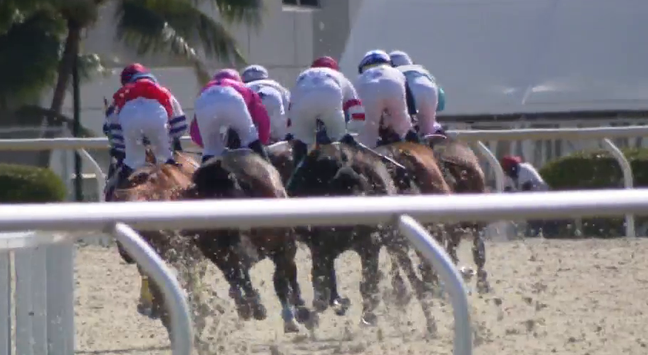 A whopping $3 million is on the line in this weekend's Pegasus World Cup Invitational at Gulfstream Park in Hallandale, CBS12's Jim Grimes reports. (WPEC)