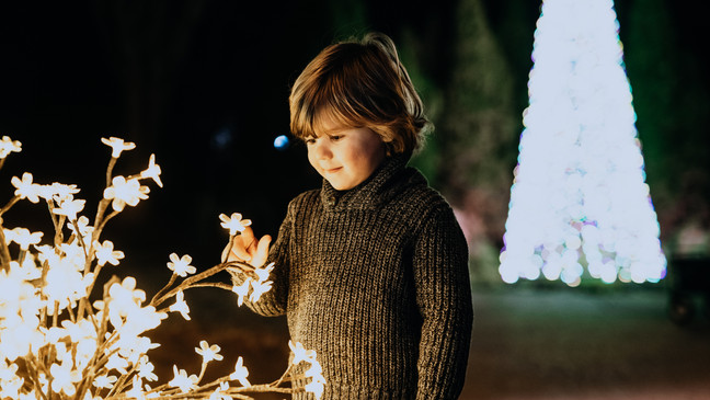 Credit: Nathan Zucker via Cheekwood{p}{/p}