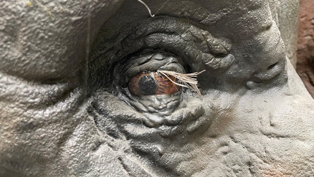 A super close shot of the sculpted elephant's eye on display at Monster City Studios (Photo: KMPH - Liz Gonzalez){ }