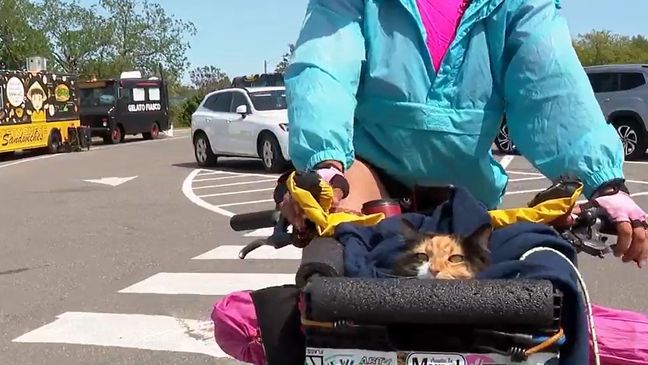 A bicyclist and his cat are wrapping up a cross-country journey in Maine. (WGME)