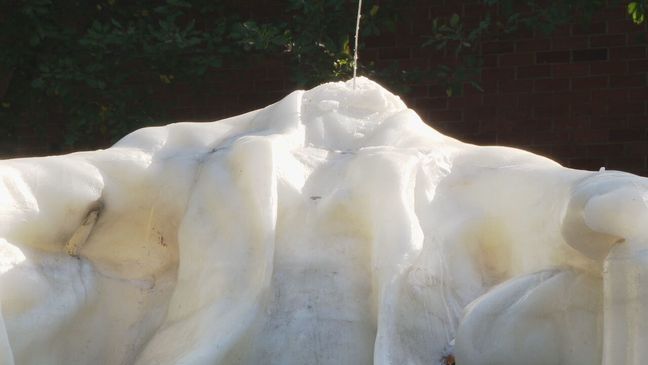 {p}A wax sculpture of Abraham Lincoln, placed outside of Garrison Elementary School in Northwest, D.C., melts from high temperatures (7News).{&nbsp;}{/p}