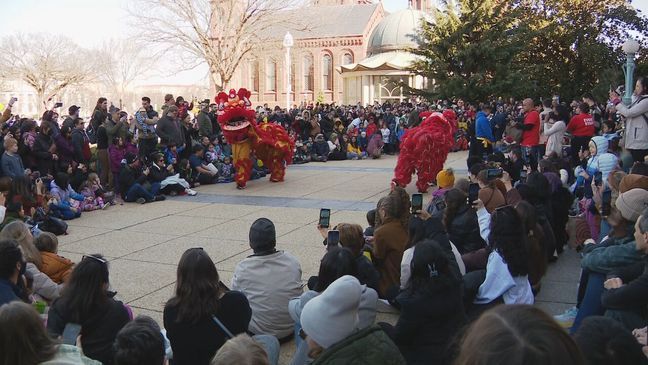 The Smithsonian National Museum of Asian Art hosted its annual Lunar New Year festival. (WJLA)