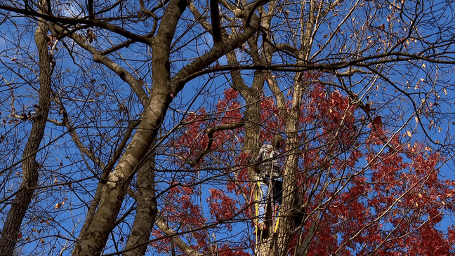 November 2023 - Retired Air Force colonel Spencer Cocanour offers free help through Asheville Tree-Top Cat Rescue, rescuing cats from trees. He went from working special operations and personal recovery with planes and pilots to personal recovery of cats. (Photo credit: WLOS Staff)