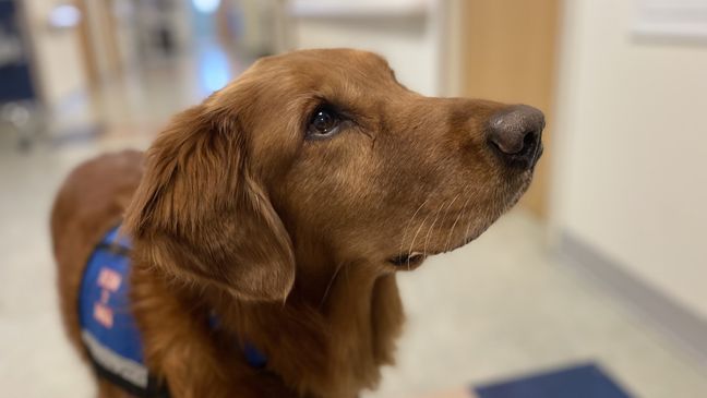 Jeremiah (Photo: Jay Korff/WJLA)