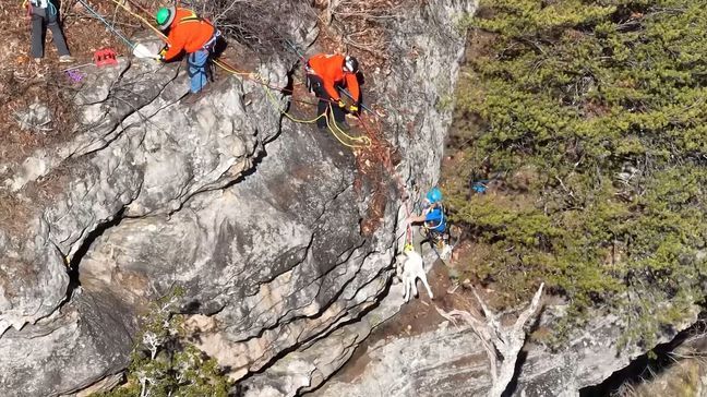 Tennessee crews get their goats in rocky ridgeside rescue (Image via Waldens Ridge Emergency Services)