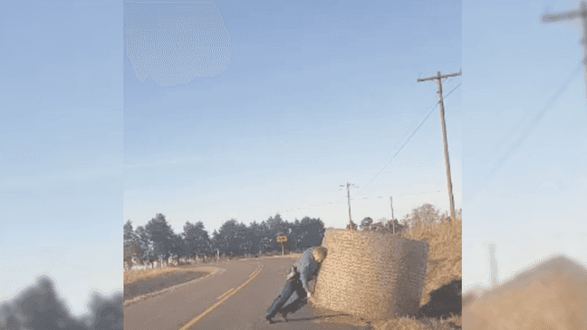 Trooper Isaiah Lemasters moves the hay bale. (Missouri State Highway Patrol.)