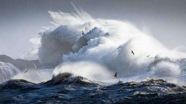 Massive wave crash into the rocky shores of western Vancouver Island on Nov. 15, 2020. (Photo: TJ Watt / TJWatt.com)