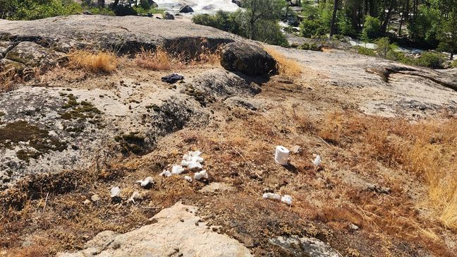 The park says used toilet paper has been found throughout the park (Photo: Yosemite National Park Facebook){&nbsp;}{p}{/p}