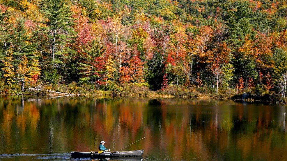 Image for story: PHOTOS: Leaf-watching season in full-swing 