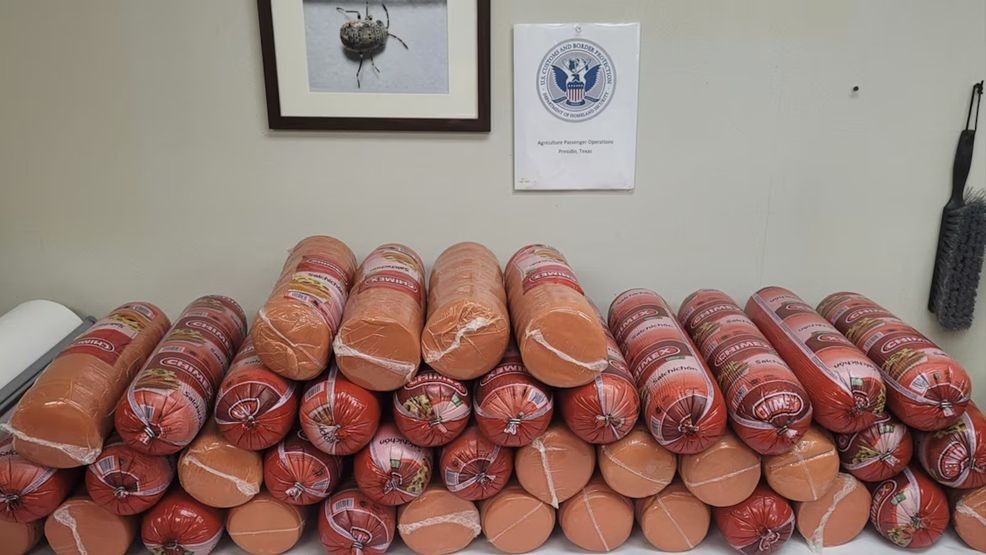 Image for story: Woman attempts to smuggle over 700 pounds of bologna