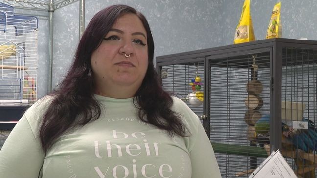Chantelle Roger's, an administrative assistant at Forever Paws Animal Shelter in Fall River, spoke about parrot Hendrix that has a bad vocabulary. (WJAR)