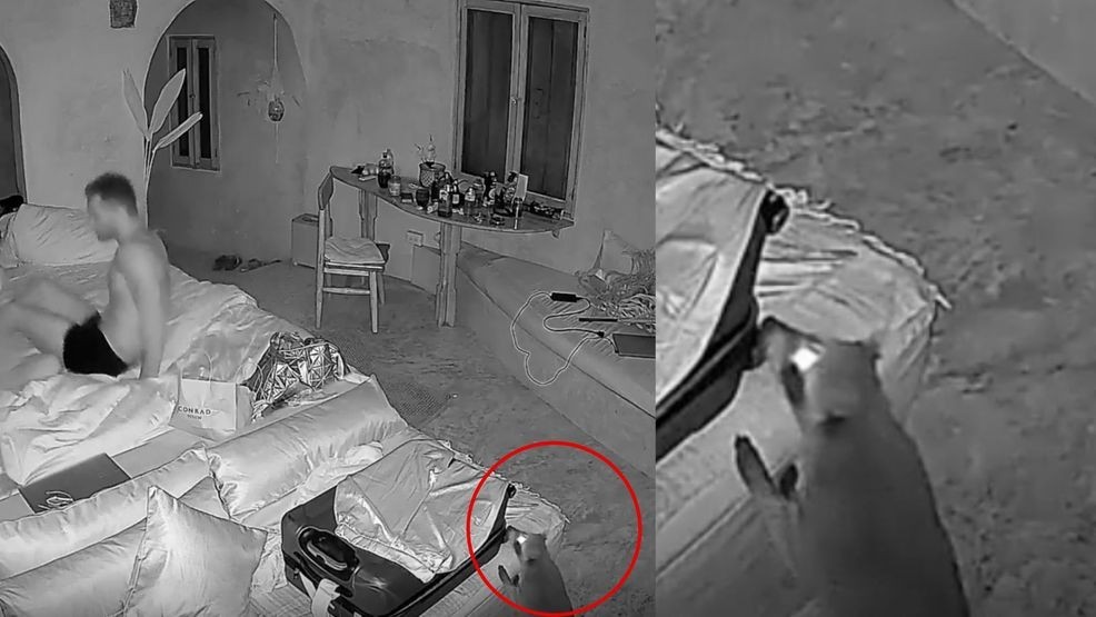 Image for story: '90 Day: Hunt for Love' debuts new breakout star before explosive confrontation 