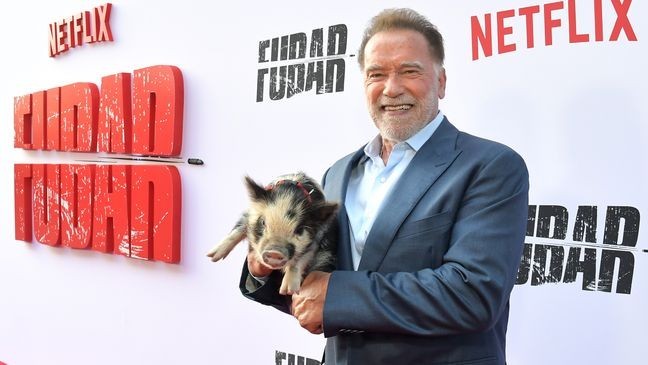 LOS ANGELES, CALIFORNIA - JUNE 11: (L-R) Arnold Snortzenegger and Arnold Schwarzenegger attend Netflix's Los Angeles premiere of  "Fubar" Season 2 at Netflix Tudum Theater on June 11, 2025 in Los Angeles, California. (Photo by Charley Gallay/Getty Images for Netfix)