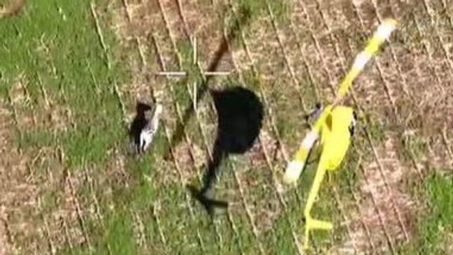 "Ed" the zebra is captured on drone video during his capture after a week-long excursion. (Rutherford County Sheriff's Office)