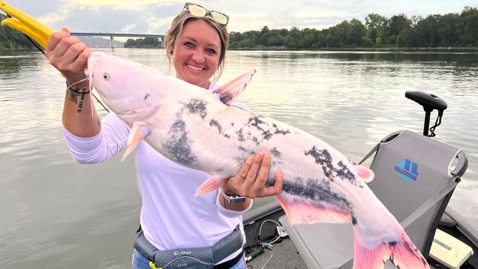 Image for story: Photo gallery: Rare white catfish gaining ground in the Tennessee River