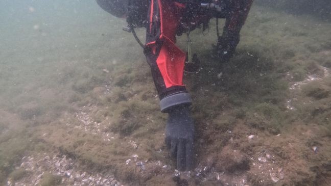 Frank D. Barker shipwreck, 2025 (Video courtesy of Wisconsin Historical Society)