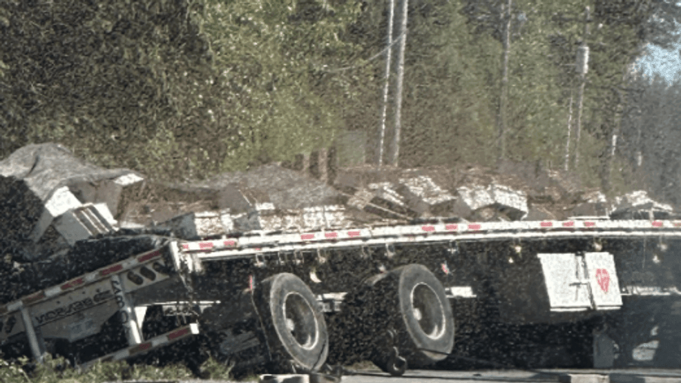 An image from the Whatcom County Sheriff's Office shows the massive swarm of bees that escaped when a semi truck carry a load of the insects partially overturned.{&nbsp;}(PHOTO: Whatcom County Sheriff's Office){p}{/p}