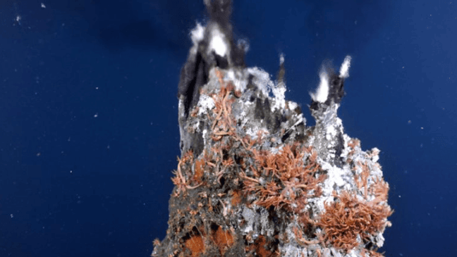 A hydrothermal vent at Axial Seamount nicknamed “El Guapo.” (University of Washington.)