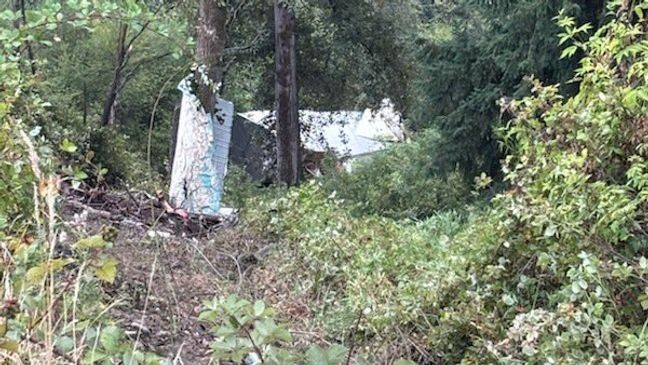 A photo showing the aftermath of a semi-truck carrying soda that crashed off of I-5 in Federal Way on July 25, 2025. (Photo: Washington State Patrol){&nbsp;}