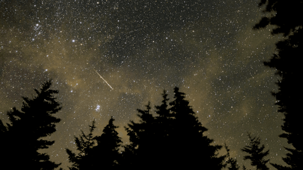 In this 30 second exposure, a meteor streaks across the sky during the annual Perseid meteor shower, Wednesday, Aug. 11, 2021, in Spruce Knob, West Virginia. (Photo by Bill Ingalls/ NASA via Getty Images)