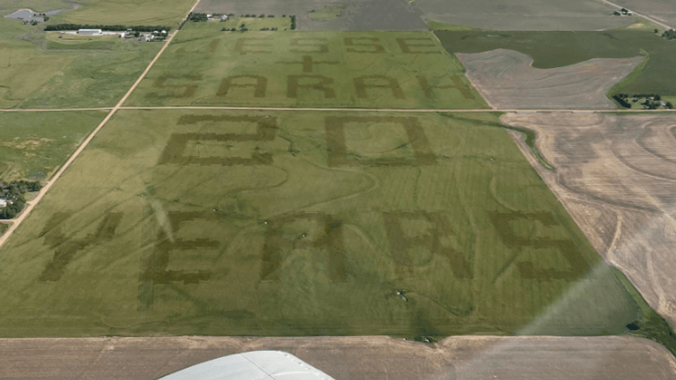 Image for story: Written in wheat: Kansas farmer surprises wife for 20th anniversary