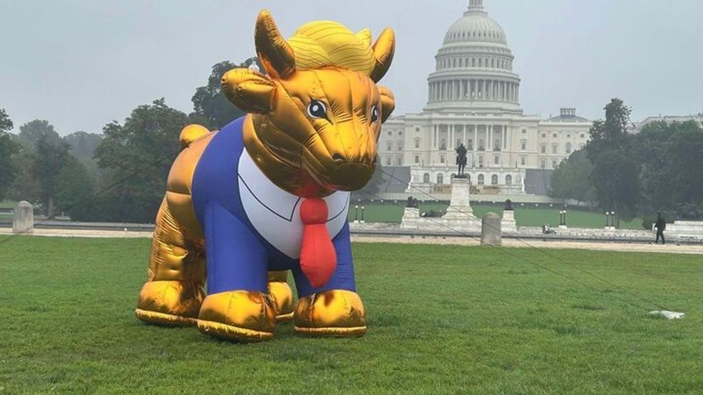 Image for story: SEE IT: Trump-like golden calf in the National Mall protests upcoming evangelical summit