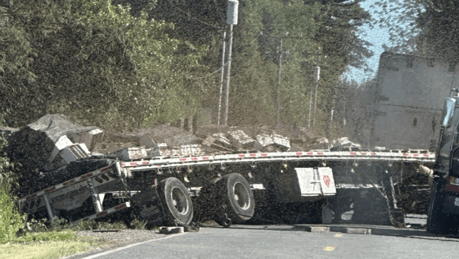 An image from the Whatcom County Sheriff's Office shows the massive swarm of bees that escaped when a semi truck carry a load of the insects partially overturned.{&nbsp;}(PHOTO: Whatcom County Sheriff's Office){p}{/p}
