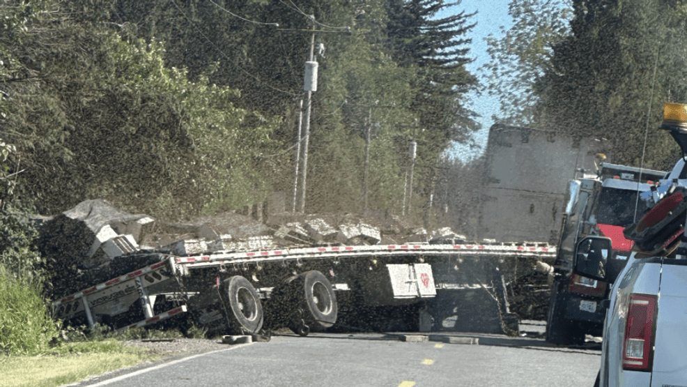 Image for story: 250 million bees escape after semi spills load in Whatcom County