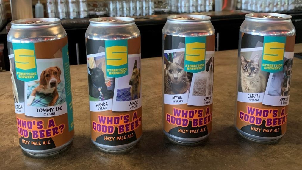 Streetside Brewery in Columbia Tusculum has a new promotion brewing with good beer and good pets-- cans of a new brew featuring adorable adoptable cats and dogs. (WKRC)