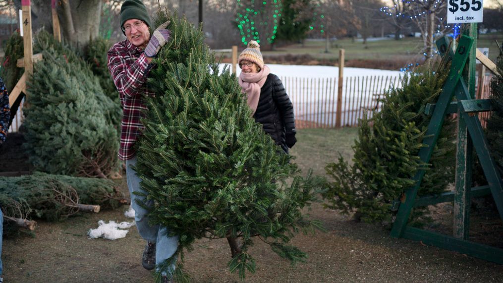 Larry Gurnee carries a $55 Christmas tree he selected with his wife, Libby Gurnee, background, at a Rotary Club tree sale, Wednesday, Dec. 14, 2022, in South Portland, Maine. (AP Photo/Robert F. Bukaty)