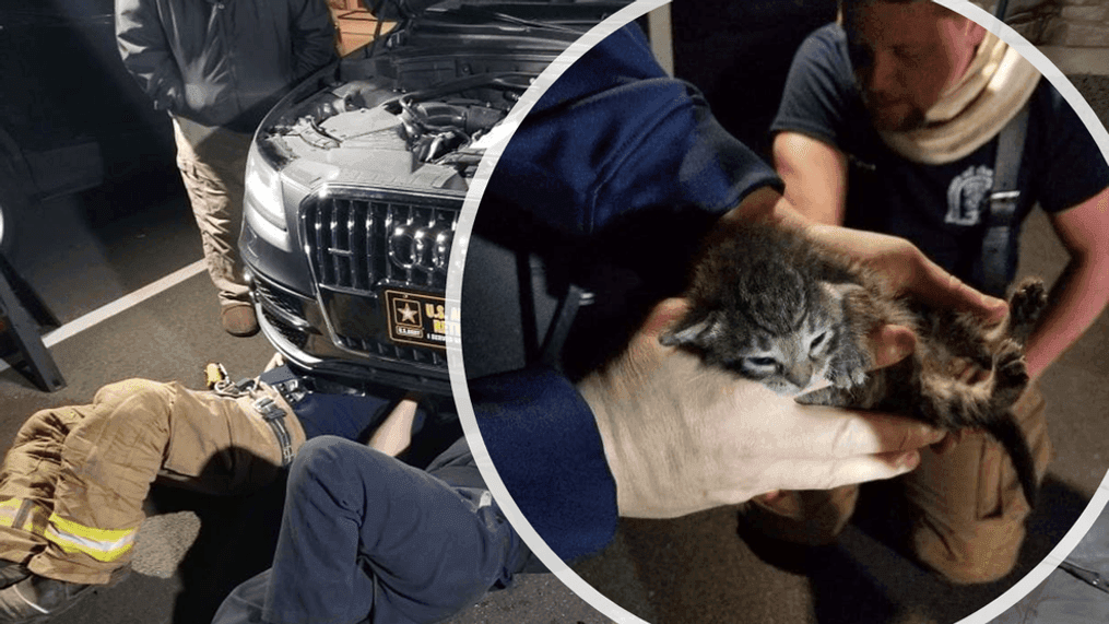 This picture shows Lincoln County firefighters (L) working to take apart bits of a car's under carriage in order to free a trapped kitten (R) on April 1, 2023. (Photo Credit: Lincoln Fire Company, Ephrata, Pennsylvania)