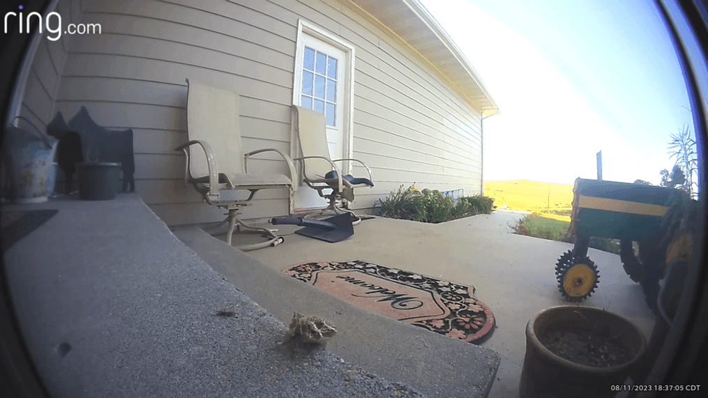 Nebraska delivery man hailed a hero after removing rattlesnake from family's porch (Christie Jones, used with permission)