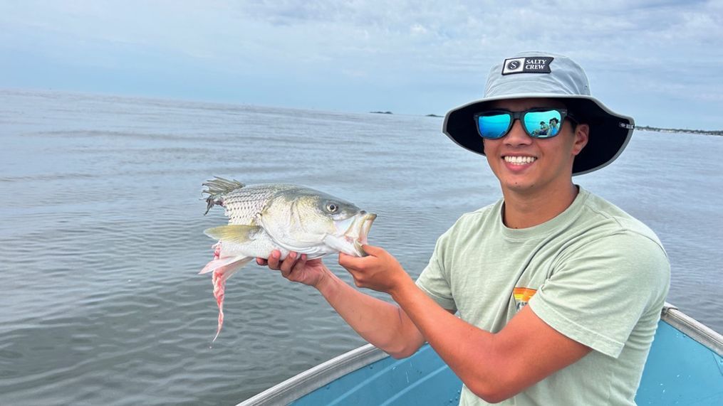 'Unexpected visitor' chomps off most of fisherman's catch in one bite (Photo: Connecticut Fish and Wildlife)