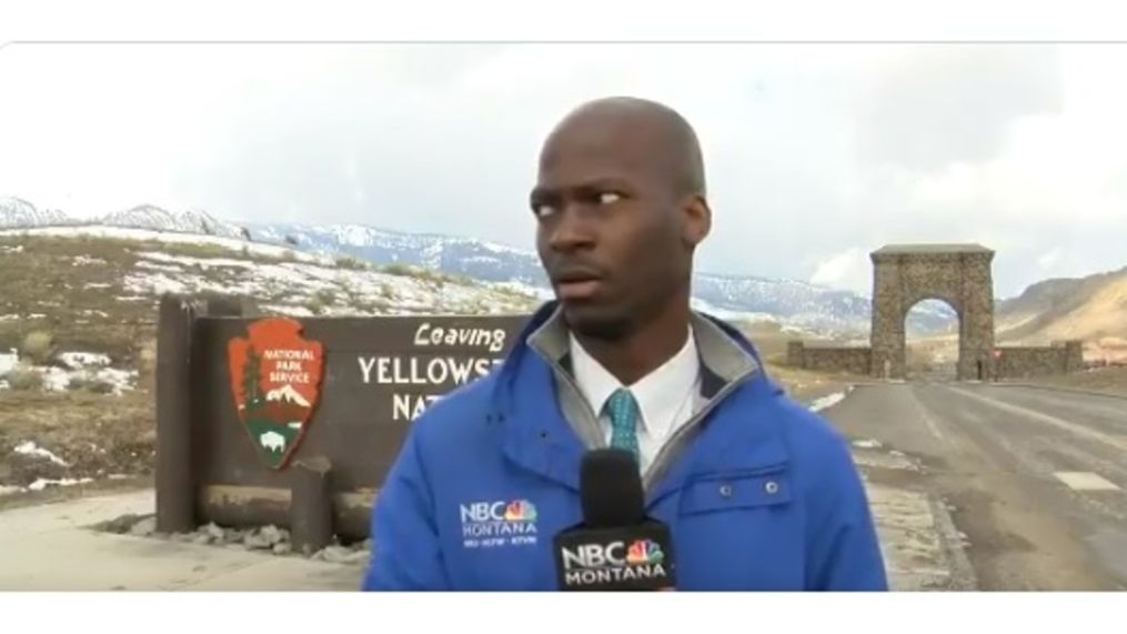 Montana Reporter, Baltimore Native Going Viral After Close Call With Bison