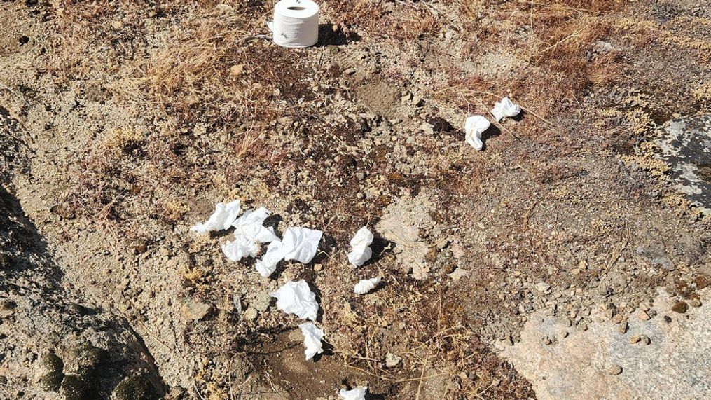 The park says used toilet paper has been found throughout the park (Photo: Yosemite National Park Facebook){&nbsp;}{p}{/p}