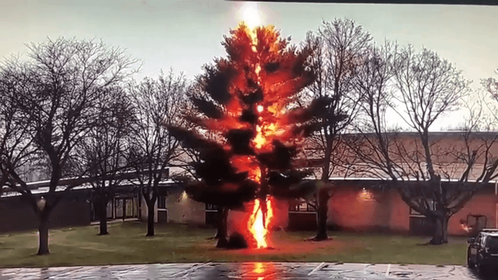 A bolt of lightning strikes a tree outside Wautoma High School April 8, 2021. (Image courtesy video submitted by Jamie Christman)