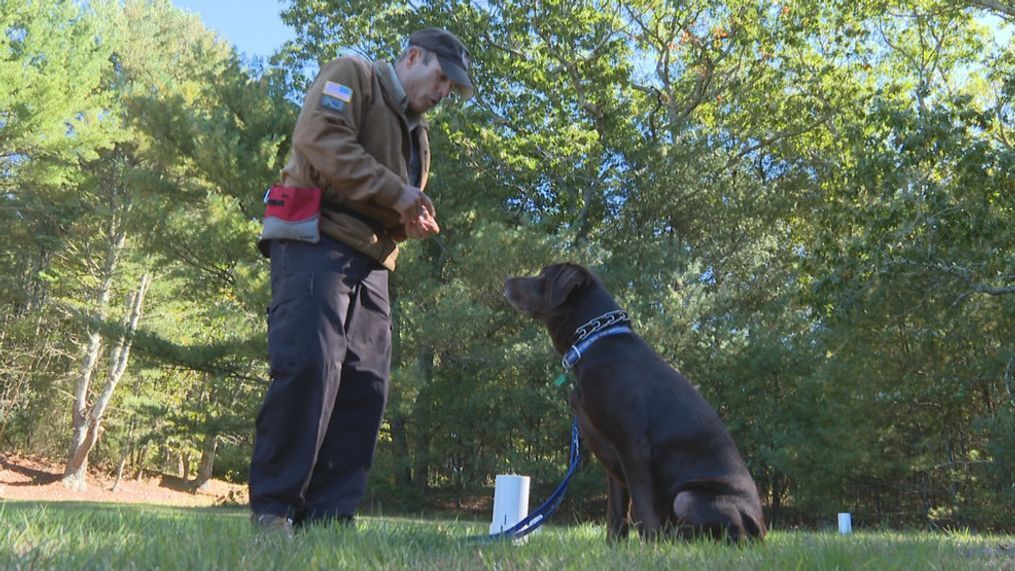 Retired RI state trooper hopes to change dog from rescue to rescuer (WJAR)