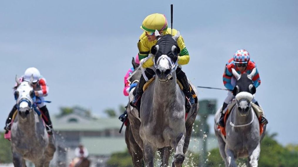 {p}Veteran horse jockey Chantal Sutherland is giving CBS12 News a tour of the jockey's room at legendary Gulfstream Park in Hallandale Beach. (Getty Images){&nbsp;}{/p}