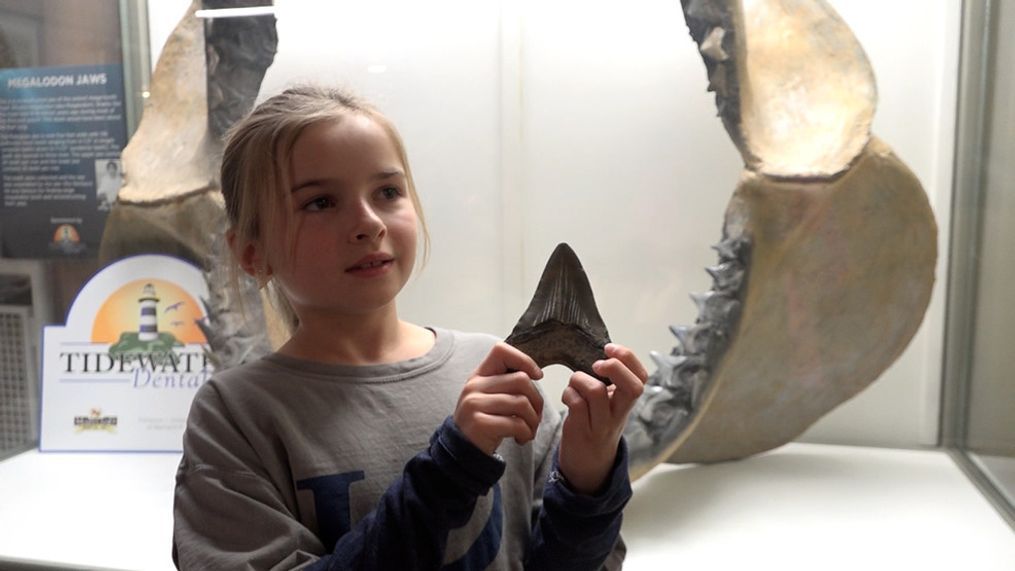 A 9-year-old Maryland girl, Molly Sampson, is taking pride in her once-in-a-lifetime discovery after finding a Megalodon shark tooth on a Calvert County Cliffs that experts say it’s 15-million-years -old. (Photo: Caroline Patrickis/WJLA)