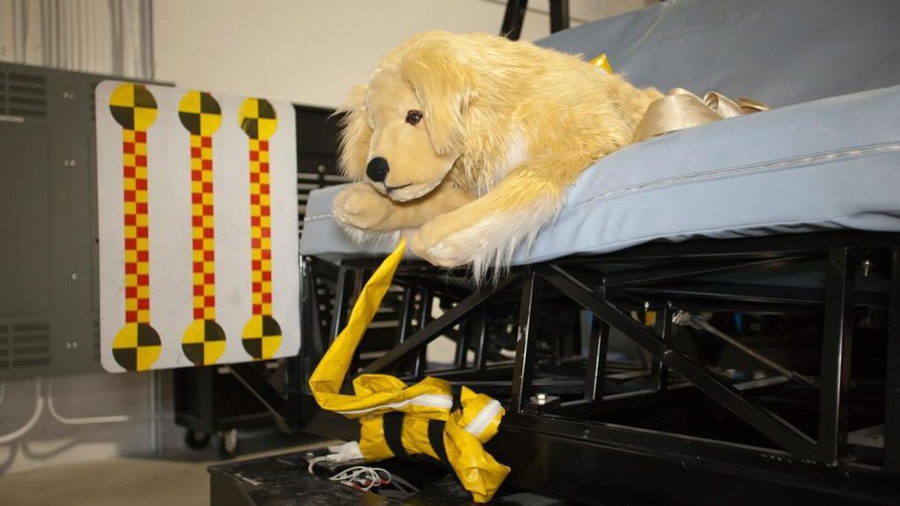 Subaru and the Center for Pet Safety conducted a collaborative crash test study to test the effectiveness of pet harnesses marketed with safety claims. (Image courtesy of Subaru and Center for Pet Safety)