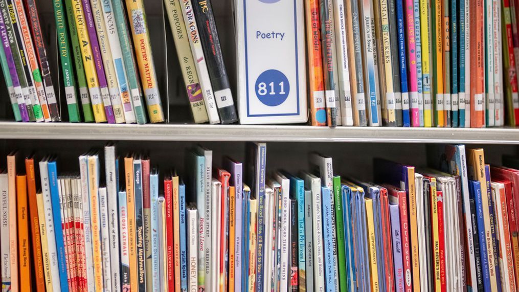 FILE - Books sit on shelves in an elementary school library in suburban Atlanta, on Friday, Aug. 18, 2023. (AP Photo/Hakim Wright Sr., File)