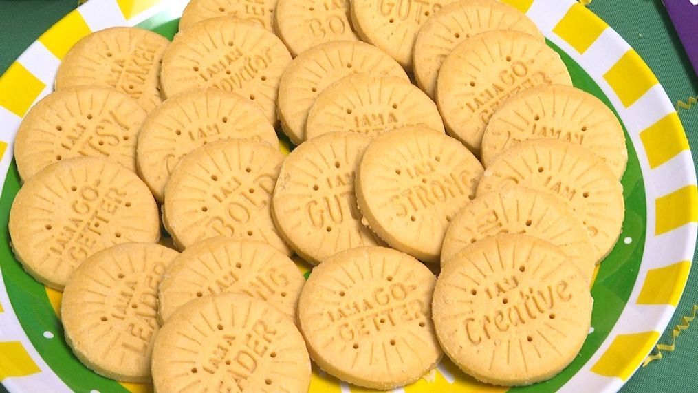 Girl Scouts unveil Lemon-Up, the new cookie for 2020 (Photo: WOLF)