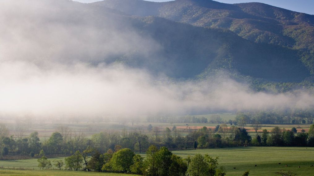 Great Smoky Mountains National Park