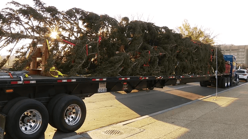 The U.S. Capitol Christmas Tree arrives in Washington, D.C. Friday, Nov. 18, 2022. (7News)