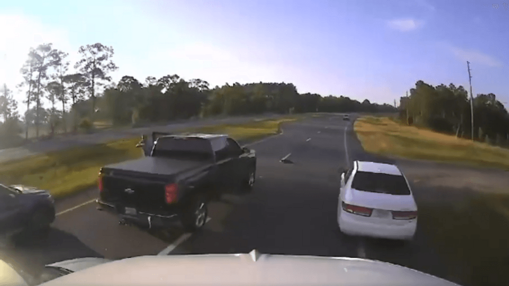 VIDEO: Driver stopping for turtle causes chain reaction crash in Florida (Walton County Sheriff's Office){&nbsp;}