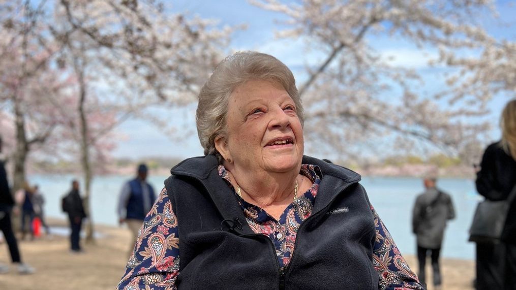 Amid the thousands coming to the Tidal Basin to catch a glimpse of peak bloom, you’ll find Andrea Ronhovde making her yearly pilgrimage. At 84, she's still as mystified by the blooms as ever before (Kevin Kuzminski, 7News)